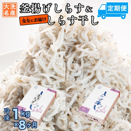 釜揚げしらす しらす干し 交互 定期便 (1kg×8か月) 天然 ふっくら 大洗 名産 しらす シラス 魚 さかな 魚介 離乳食