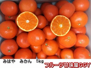 みはや　みかん　熊本産　1箱5ｋｇ　80サイズ