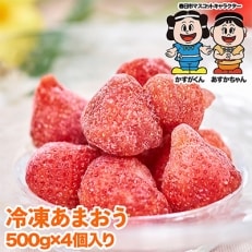 苺の王様!「冷凍あまおう苺」2kg(約500g×4袋)