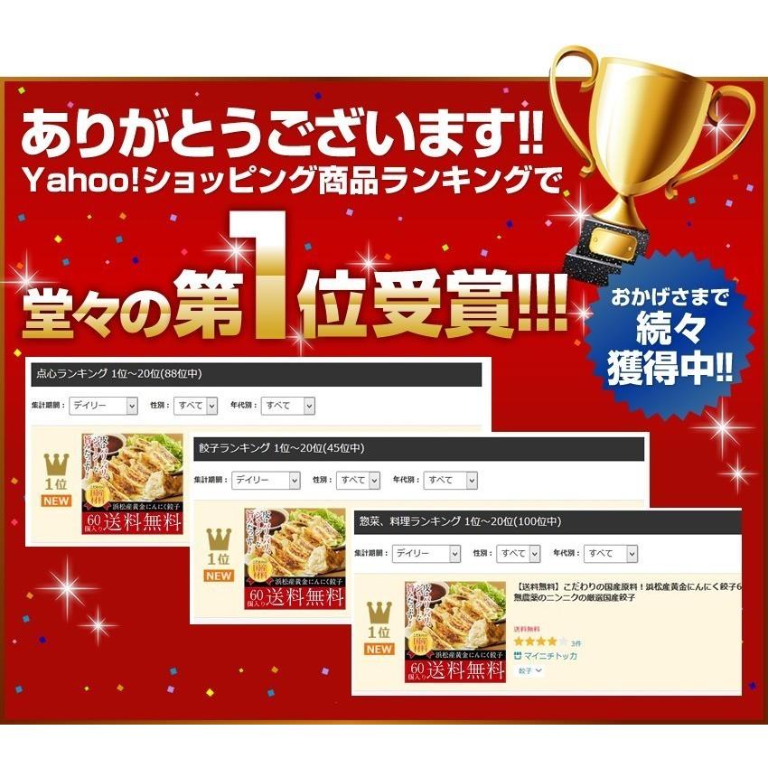 49％OFFクーポン有 できたて発送 ぎょうざ 餃子 お取り寄せ 中華 点心 タレ不要 すっぴん餃子300個 どっさり お取り寄せグルメ ギフト 大容量 業務用