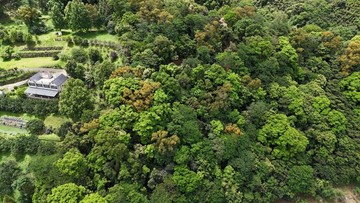 苗栗南庄近獅頭山台20縣道旁低總價農地｜苗栗縣南庄鄉四灣段
