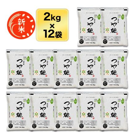 新米 令和5年(2023年)産  山形県産 つや姫＜13年連続特Ａ評価＞ 24kg (2kg×12袋) 白米・玄米 即日出荷は白米のみ