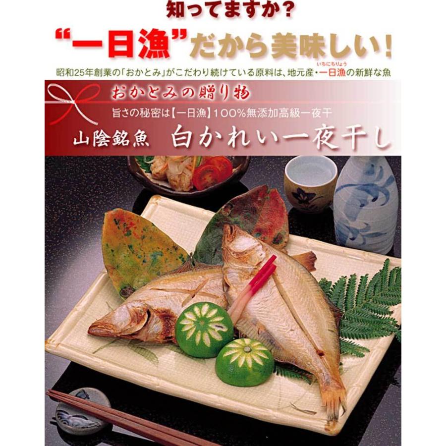 「一日漁」かれい一夜干900g 岡富商店 干物 白かれい 贈り物