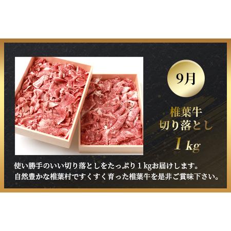 ふるさと納税 総重量2.4kg！椎葉牛 大自然の中で味わう焼肉・BBQ定期便≪焼き肉・ステーキ・切り落とし・ローストビーフ≫ 宮崎県椎葉村