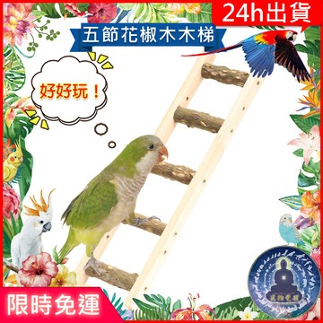 【寵物覺醒24h出貨】鸚鵡倉鼠小寵花椒木樓梯爬梯攀爬鸚鵡玩具鸚鵡用品