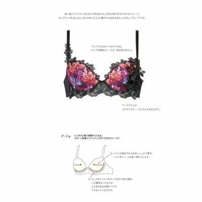 サルート46 【マダガスカル】 C75+Tショーツ プッシュアップブラ WH サルート46 【マダガスカル】 C75+Tショーツ プッシュアップブラ WH