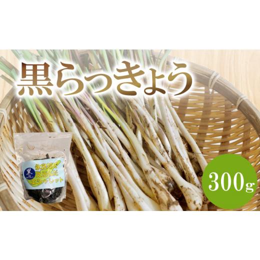 ふるさと納税 鹿児島県 知名町 黒らっきょう　300ｇ