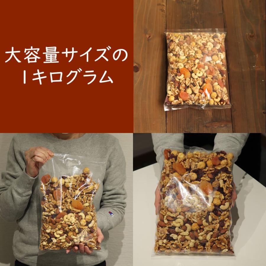 大地の生菓 ナッツ ドライフルーツ 9種類のナッツ＆ドライフルーツ ミックス 1キロ 砂糖不使用 送料無料 クリスマス ギフト プレゼント 2023