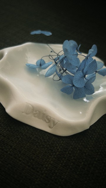 Daisy 白瓷小碟 首飾碟 白色透光