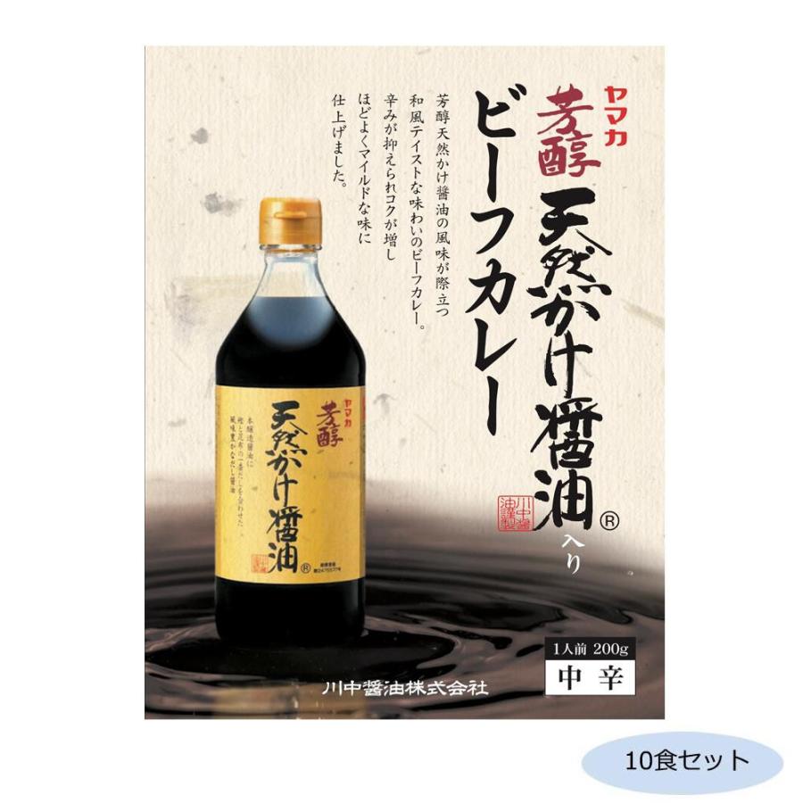 送料無料 ご当地カレー 広島 川中醤油天然かけ醤油ビーフカレー 中辛 10食セット |b03