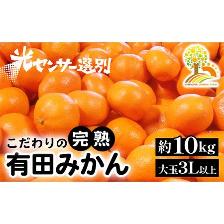 ふるさと納税 ＼光センサー選別／ 農家直送　有田みかん　約10kg 大玉3L以上　有機質肥料100%※着日指定不可※北海道・沖縄・離島への配送不可.. 和歌山県美浜町