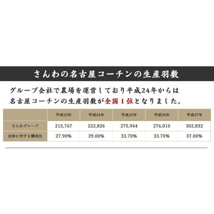 お歳暮 御歳暮 鍋 ギフト 地鶏 鶏肉 送料無料 贈答 歳暮  創業明治33年さんわ 鶏三和 三和の純鶏名古屋コーチン味噌鍋セット(MSO-5)