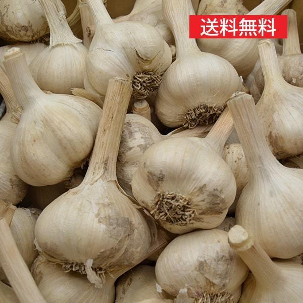 《根・土つき》山形の生にんにく約1kg