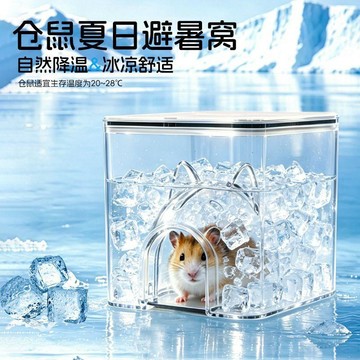 倉鼠降溫冰屋金絲熊躲避屋睡窩造景用品夏天夏季避暑小房子水立方 台灣寄出 倉鼠造景 倉鼠睡窩 倉鼠 造景 組合屋