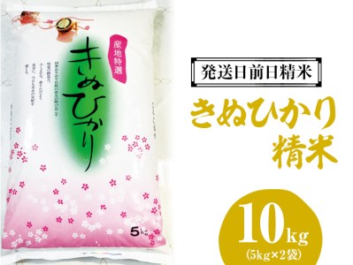 （発送日前日精米）きぬひかり　精米　5kg×2袋◆ ※着日指定不可