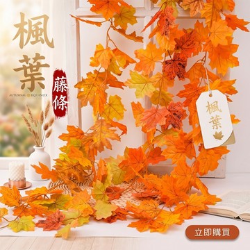 🍁仿真楓葉藤條🍁 紅楓葉條 塑料花 花藤 藤蔓假花 秋季假樹葉 裝飾花藤 空調管道遮擋吊頂藤蔓 秋色藤蔓 楓葉藤 人造花
