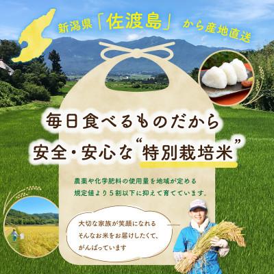 ふるさと納税 佐渡市 佐渡島産コシヒカリ 玄米10Kg(5Kg×2袋) 特別栽培米