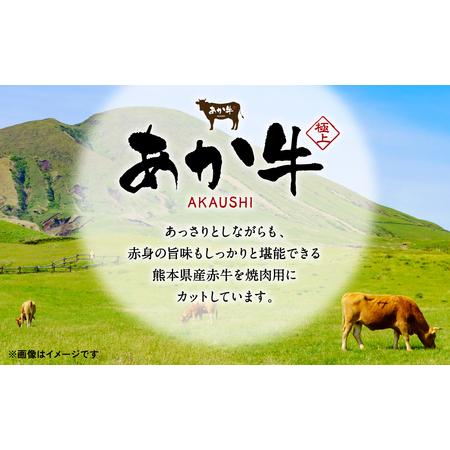 ふるさと納税 肥後のあか牛 焼肉用 500g（熊本県産和牛）スライス　計3回発送 熊本県八代市