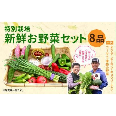 ふるさと納税 特別栽培 季節のお野菜セット 8品 おまかせ 宮崎県えびの市