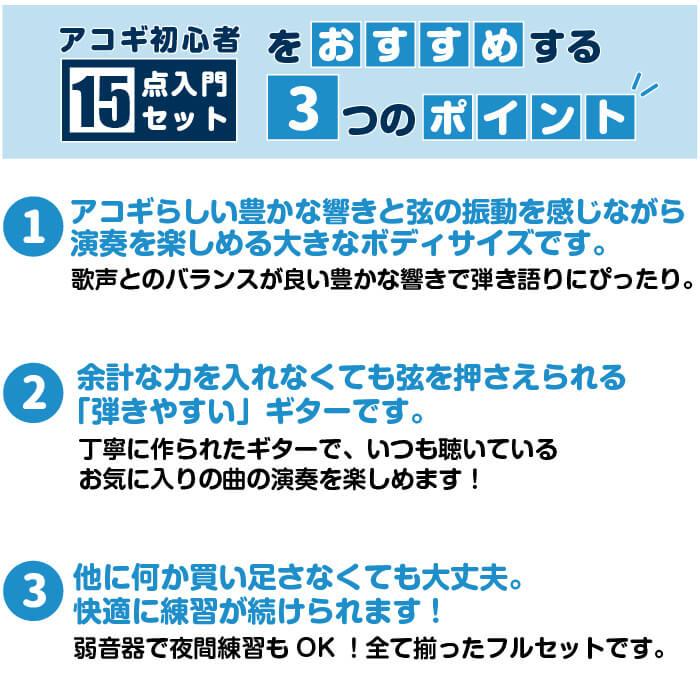 アコースティックギター 初心者セット アコギ (ハードケース付属15点) アリア Aria-111 (大きなボディ フォーク ギター 初心者 入門 セット)