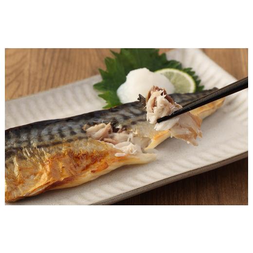 ふるさと納税 茨城県 神栖市  業務用 無添加 塩さば 1kg 鯖 さば 塩サバ 干物 魚