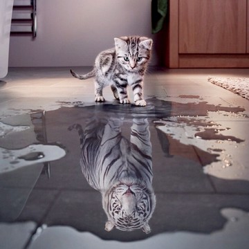 十字繡年新款心有猛虎小件5d鉆石畫滿鉆可愛貓咪老虎現代客廳