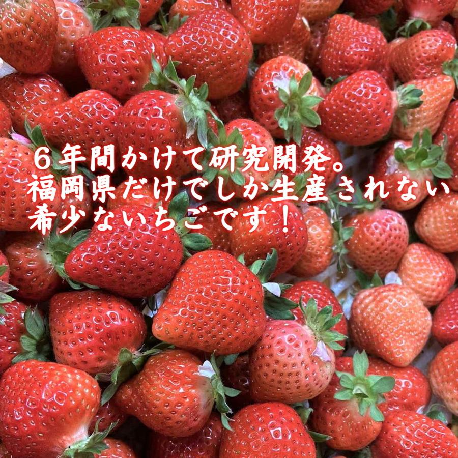 いちご あまおう おすすめ イチゴ 苺 フルーツ 送料無料 高級 人気 1箱 2パック