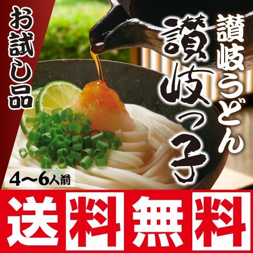 本物の味 讃岐うどん 讃岐っ子 お試しセット 乾麺2袋入り 4〜6人前 ポイント消化 送料無料 ネコポス