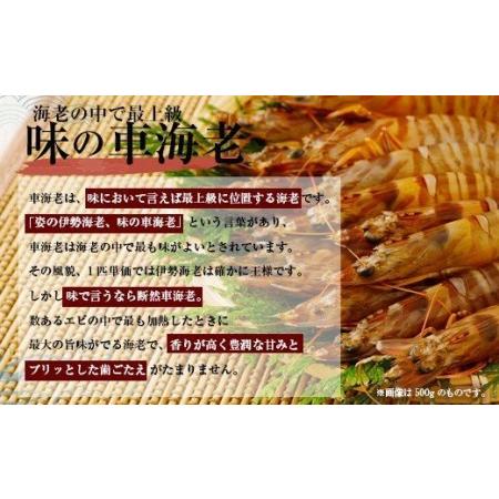 ふるさと納税 熊本県産 急速冷凍 車海老 250g(9〜13尾) 生食可 瞬間冷凍 熊本県宇城市