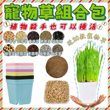 🔥台灣出貨+免運🔥寵物草種子組合包 貓草 貓草Diy 貓草盒 種貓草盆 小麥種子 貓薄荷種子 貓草盆栽 小麥草 兔草