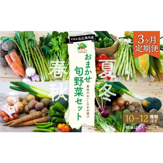 ふるさと納税 北海道 北広島市 おまかせ旬野菜セット 旬 野菜 セット 北海道 北広島市