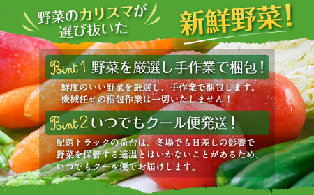 野菜のプロ40年が届けるこだわり野菜セット！ 7～8品目 詰め合わせ