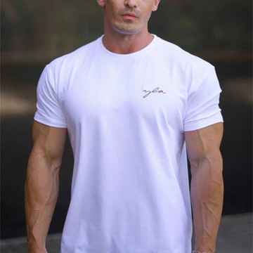 出口北美 高品質好貨YLA高克重彈力棉健身短袖 休閑運動潮流T恤