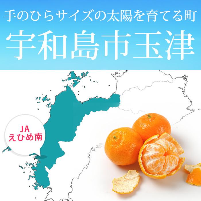 みかん 愛媛県産 玉津みかん 良品 約3kg M〜Lサイズ 24〜30個