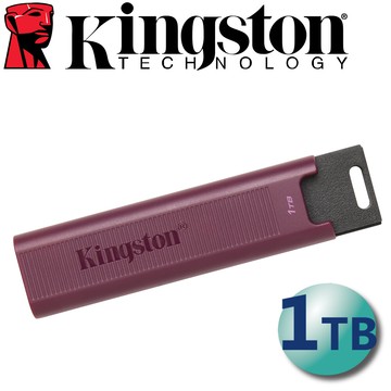 金士頓 1t type-a usb 3.2 gen 2 隨身碟(dtmaxa/1tb)