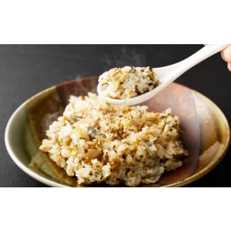 ふるさと納税 熊本県産 こだわり炒飯 肥後高菜めし 230g×10袋 高菜 チャーハン 熊本県