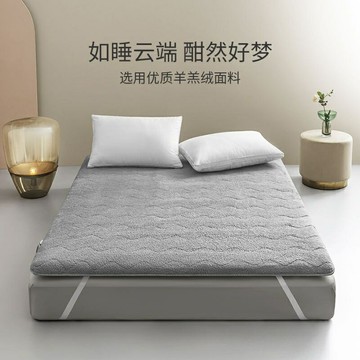 秋冬新款 2023 加厚 加绒 加厚羊羔絨床墊 軟墊家用 床褥子保暖 冬季宿舍單人 租房專用墊 加绒床垫