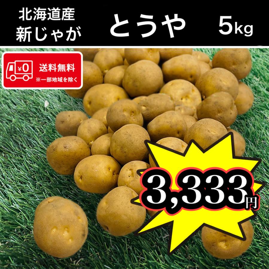 送料無料 北海道産 とうや 5kg Mサイズ じゃがいも 馬鈴薯