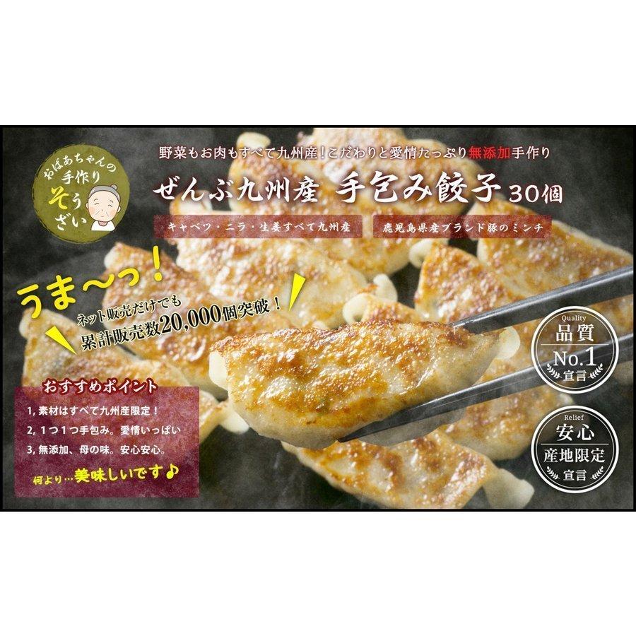 無添加 手作り 餃子 30個   九州産 惣菜 お取り寄せ 冷凍