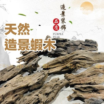 【宏洋水族】天然造景 蝦木✨〝觀賞蝦 魚缸造景 水族造景 魚缸沉木 造景沉木 蝦屋 天然魚蝦躲避屋 蜂窩木 龍骨 蛇王木