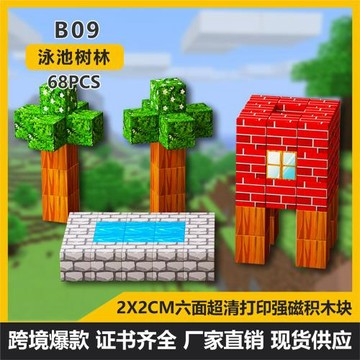 跨境新品我的迷你磁力世界DIY 益智游戲周邊磁性積木吸100000玩具