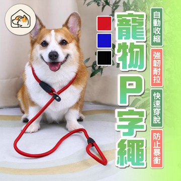 【快速穿脫👍】寵物P字繩 寵物項圈牽繩 寵物牽引繩 P字鍊 防暴衝牽引繩  狗狗訓練繩 遛狗繩 尼龍牽引繩 寵物外出用品