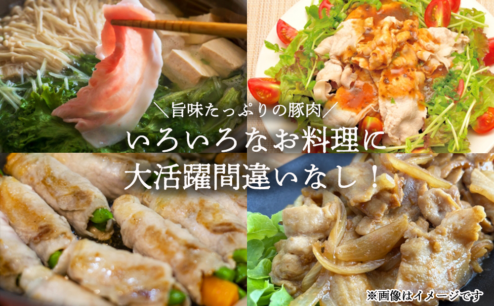 豚 ロース しゃぶしゃぶ用 1.5kg（500g×3パック） 小分け 宮崎県産 国産 豚肉 冷凍 送料無料 鍋 薄切り うす切り 炒め物 冷しゃぶ サラダ 肉巻き 野菜巻き スライス ミヤチク