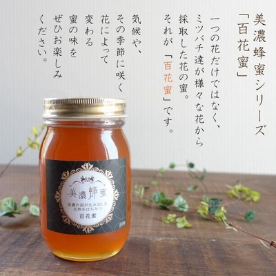 美濃蜂蜜 ハニーディスペンサー付き ギフトセット 農林水産大臣