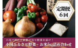阿蘇小国産・旬の野菜とお米５kgの詰め合わせ