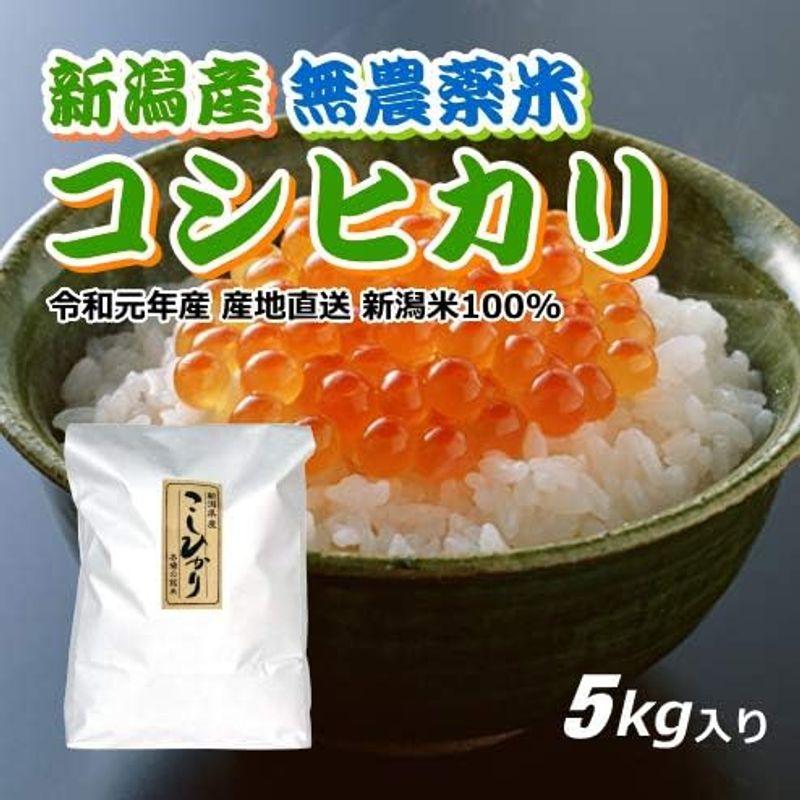 コシヒカリ 無農薬米 5000円分（5キロ） 新米 新潟米 お米 新潟産 産地直送 米 コメ お歳暮 自宅用 ギフト 贈答 贈り物