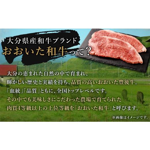 ふるさと納税 大分県 竹田市 大分県産 豊後牛 サーロインステーキ 200g×2枚 計400g おおいた和牛（4等級以上）