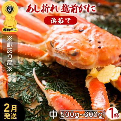 ふるさと納税 越前町 地元鮮魚店厳選  ≪浜茹で≫ 足折れ 越前がに 中サイズ 1杯