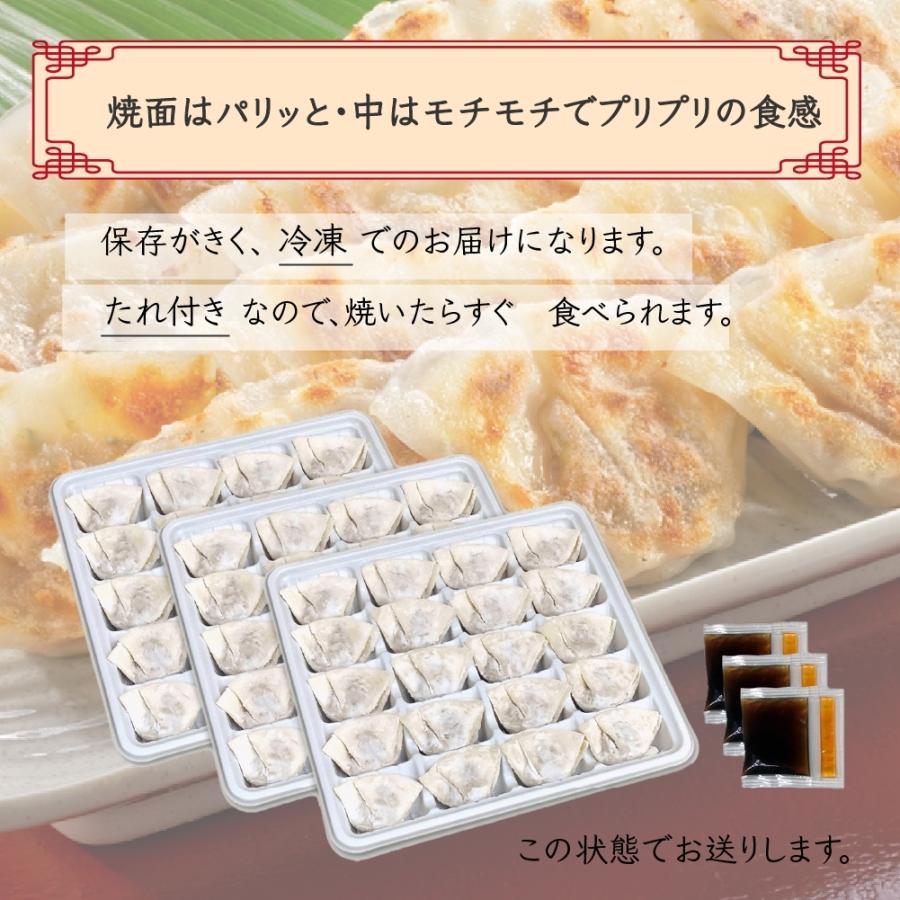 黒豚一口こだわり餃子セット　20個×3袋　 醤油たれ３袋　タレ付き　鹿児島県産黒豚１００％使用　送料無料　冷凍便