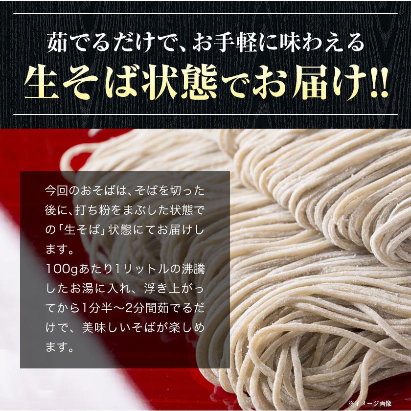 出雲生そば 送料無料 出雲 そば 生麺 取り寄せ そば 生そば 6食入(180g×3袋)  7-14営業日以内に発送(土日祝除く)